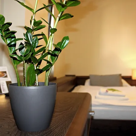 Wellness & Restaurant Zoborska, Free Parking Гостевой дом