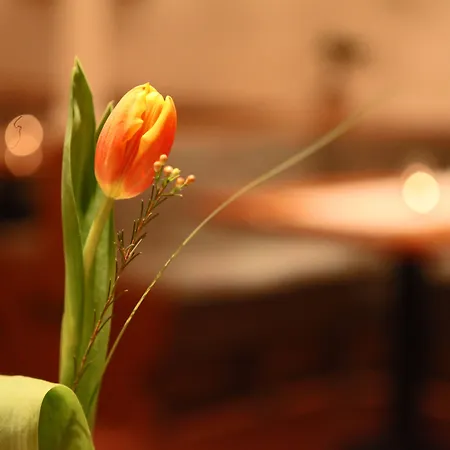 Wellness&restaurant Zoborská, Free Parking Nitra