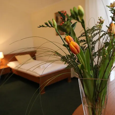 Penzion&wellness Zoborska