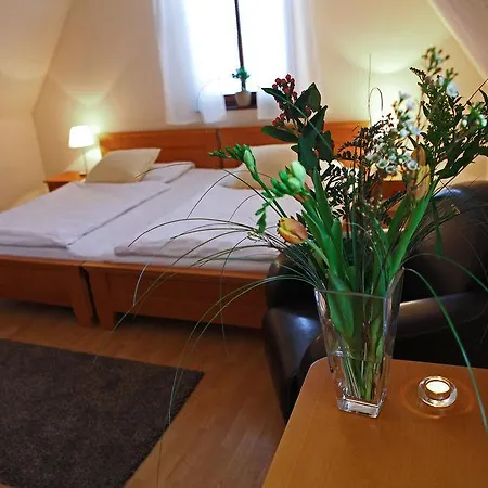 Penzion&wellness Zoborska Affittacamere Nitra