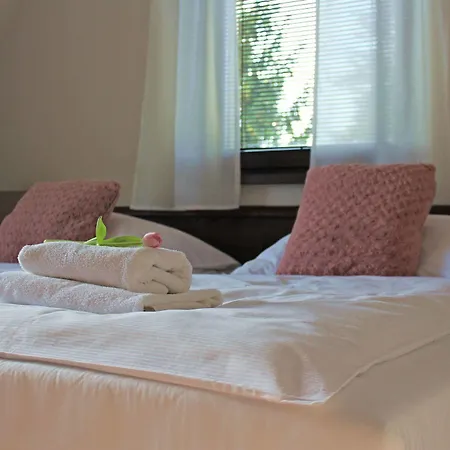 Penzion&wellness Zoborska 3* Nitra