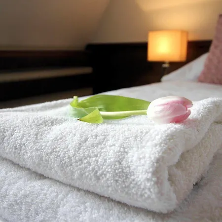 Wellness & Restaurant Zoborska, Free Parking