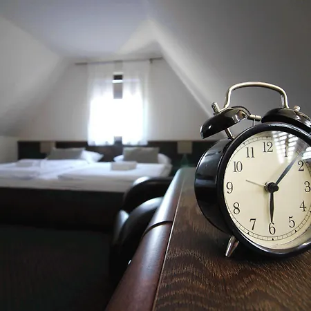 Guest house Wellness & Restaurant Zoborska, Free Parking
